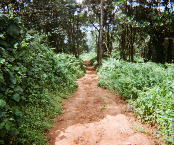 Gallery Image 26
